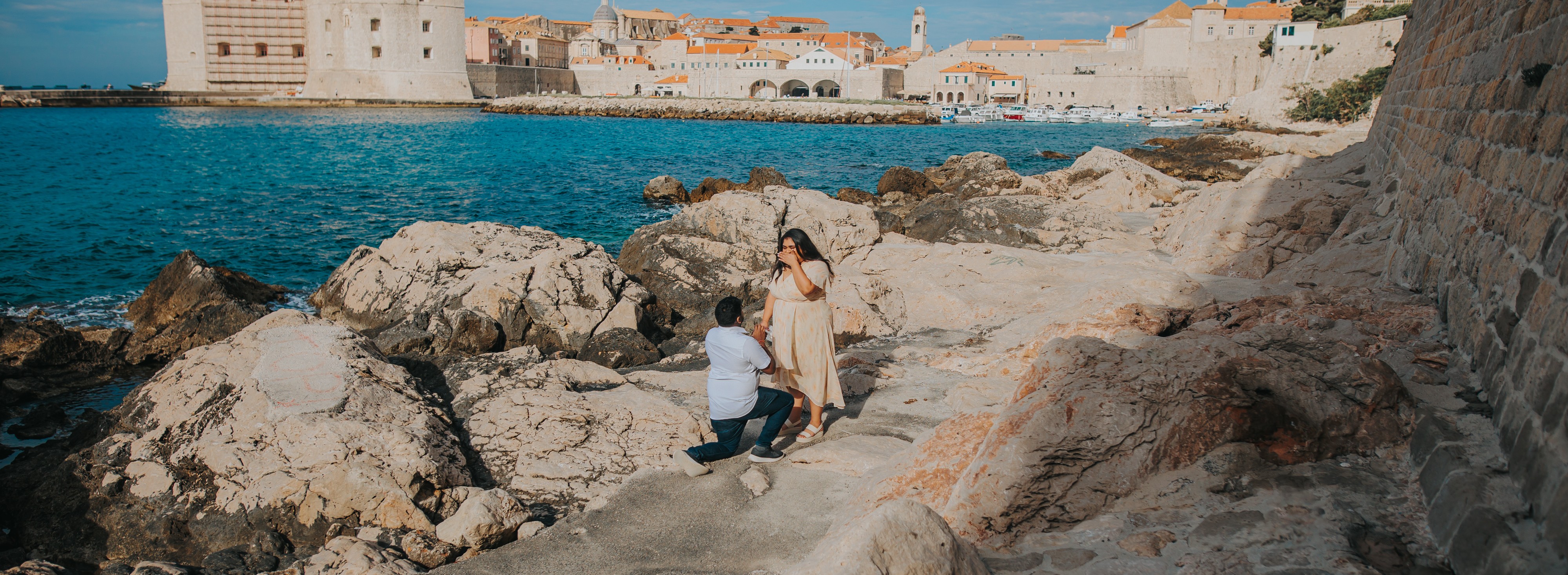 Proposal Picture